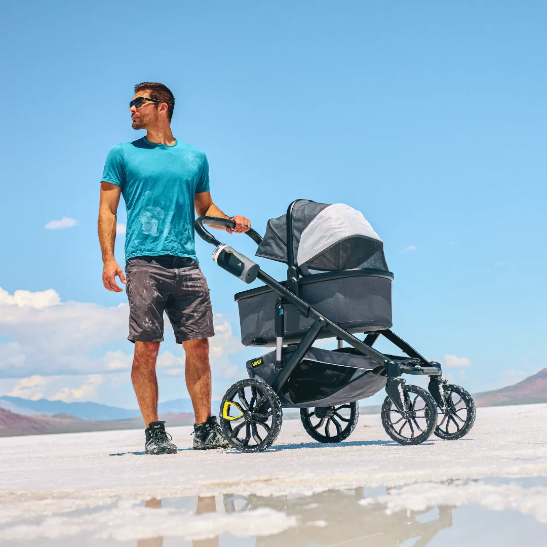 Bassinet for Switchback - Granite Grey by Veer