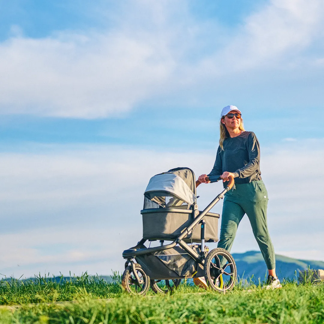 Bassinet for Switchback - Granite Grey by Veer