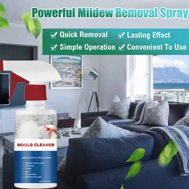 Buy 2 Get 1 Free Mould & Mildew Removing Foam Spray