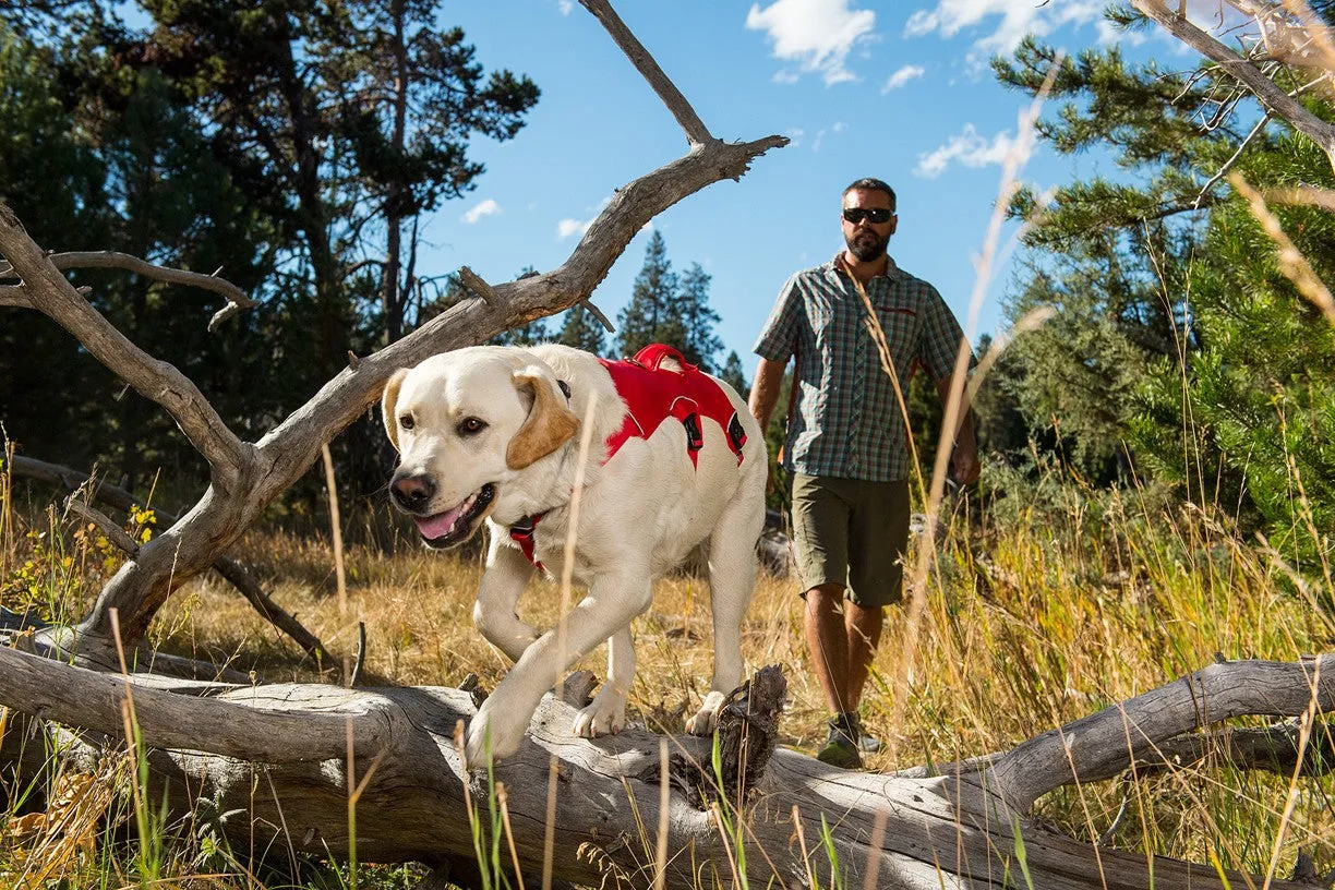 Ruffwear Web Master Harness